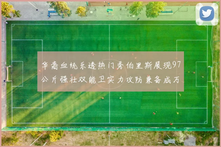华裔血统乐透热门秀伯里斯展现97公斤强壮双能卫实力攻防兼备成万金油之选