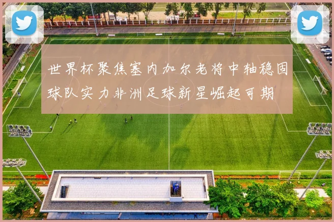 世界杯聚焦塞内加尔老将中轴稳固球队实力非洲足球新星崛起可期